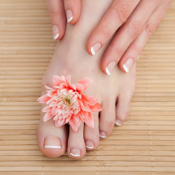 Tratamento de unhas francês no centro de spa — Fotografia de Stock