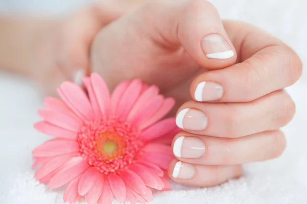 Flower with french manicured fingers — Stock Photo, Image