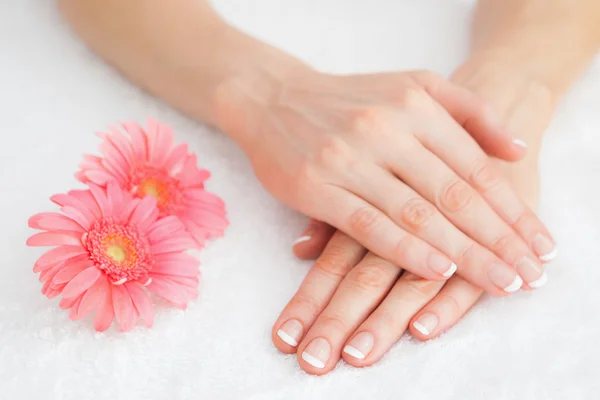 Flowers with french manicured fingers — Stock Photo, Image