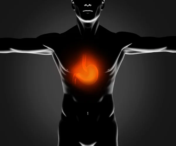 Black figure with highlighted stomach — Stock Photo, Image