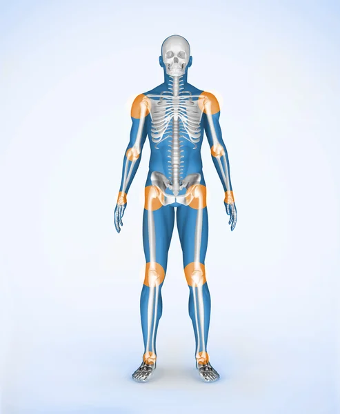 Articulações de um esqueleto digital azul — Fotografia de Stock