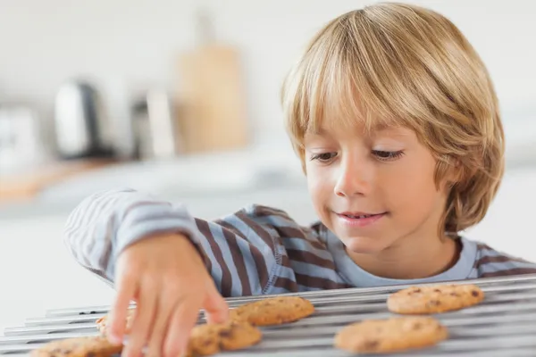 Rapaz a levar um biscoito — Fotografia de Stock