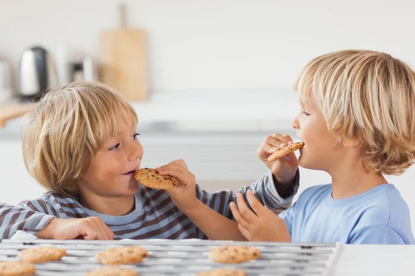 Brothers eating cookies together — Stock Photo, Image