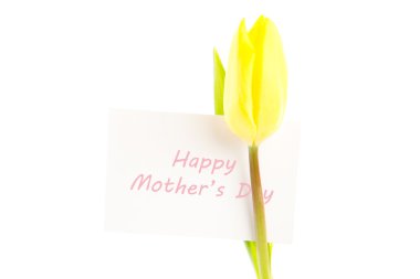 Yellow tulip with a white happy mothers day card clipart