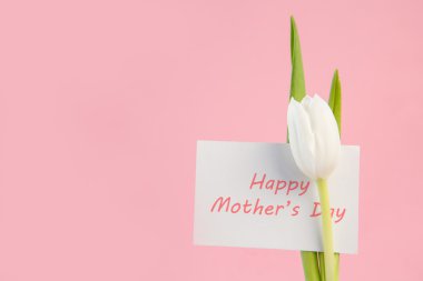 White tulip with a happy mothers day card on a pink background clipart