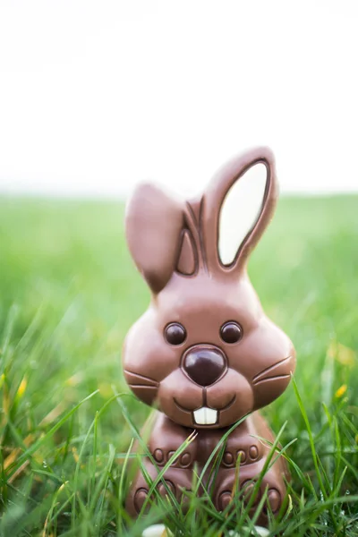 Çikolata bunny çimenlere oturmuş — Stok fotoğraf