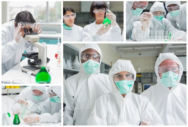 Collage of laboratory workers — Stock Photo, Image