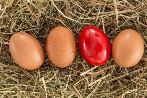 Red egg on straw with plain ones — Stock Photo, Image