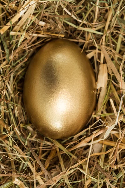 Guld ägg i halm — Stockfoto