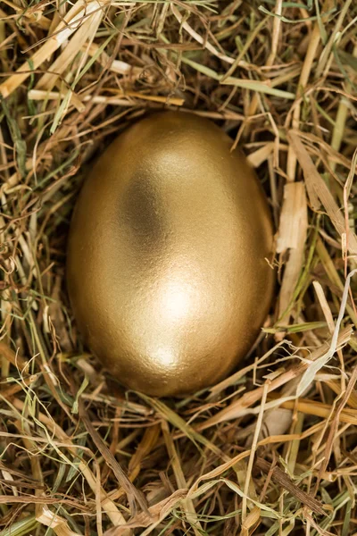 Ovo de ouro na palha — Fotografia de Stock