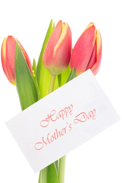 Pink and yellow tulips with happy mothers day greeting — Stock Photo, Image