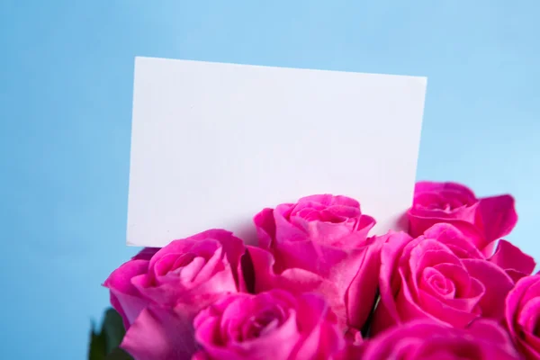 Ramo de rosas rosadas con tarjeta en blanco — Foto de Stock