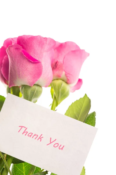 Thank you card with pink roses — Stock Photo, Image