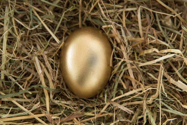 Ovo dourado na palha — Fotografia de Stock