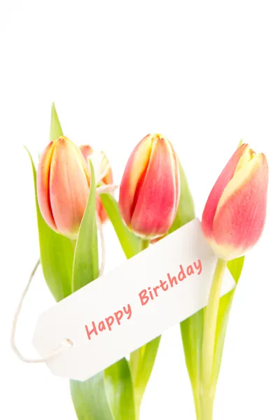 Three tulips with a happy birthday card — Stock Photo, Image