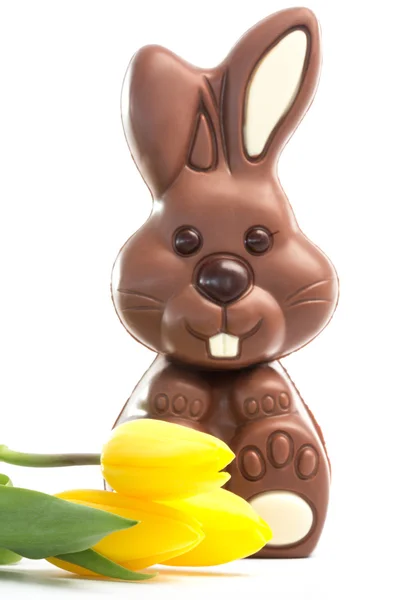 Tulipani gialli con simpatico coniglietto al cioccolato — Foto Stock