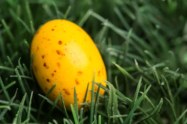 Sarı benekli Paskalya yortusu yumurta — Stok fotoğraf