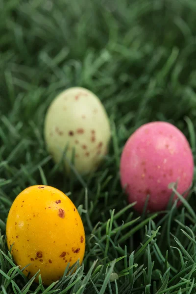 Three small easter eggs nestled in the grass — Stock Photo, Image