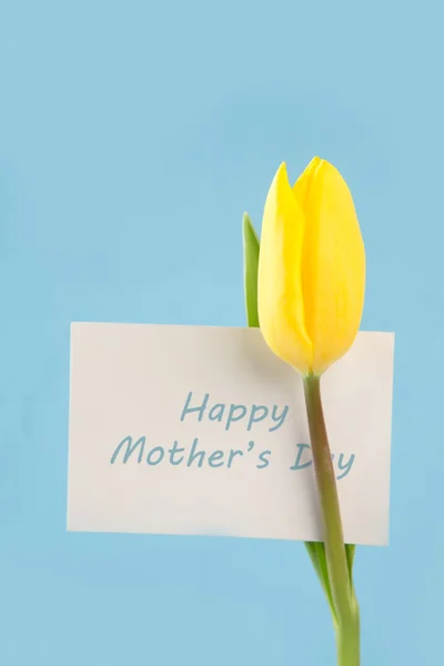 Yellow tulip with a happy mothers day card on a blue background — Stock Photo, Image