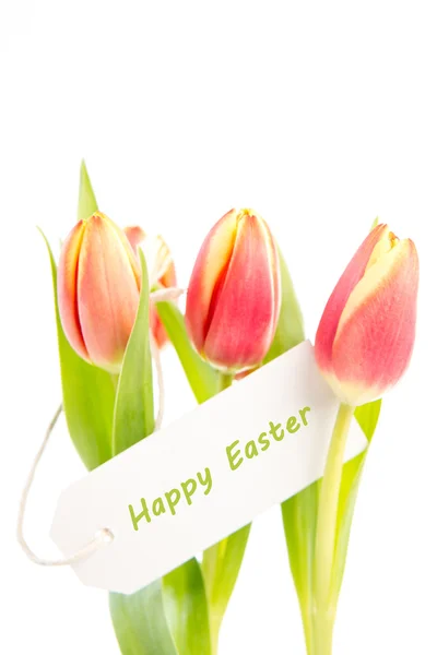 Three tulips with a happy easter card — Stock Photo, Image