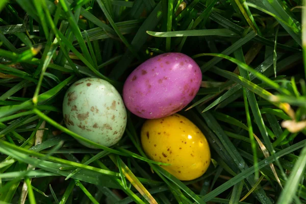 Pequeños huevos de Pascua anidados en la hierba —  Fotos de Stock