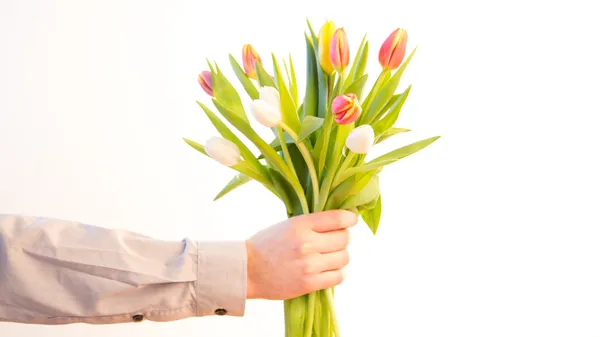 Mans hand offering bunch of tulips — Stock Photo, Image
