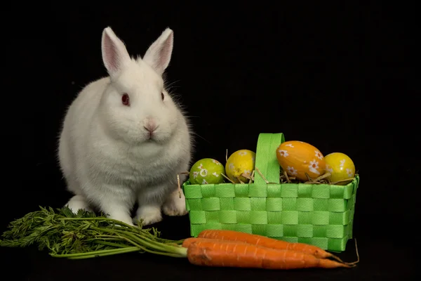Easter bunny with green basket of eggs and carrots — Stock Photo, Image