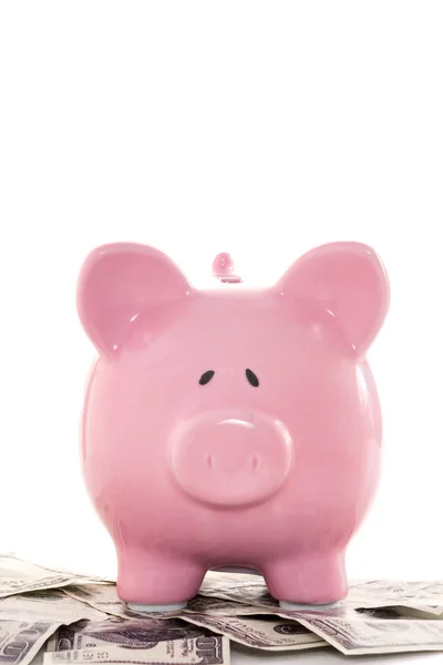 Close up of a pink piggy bank on dollars — Stock Photo, Image