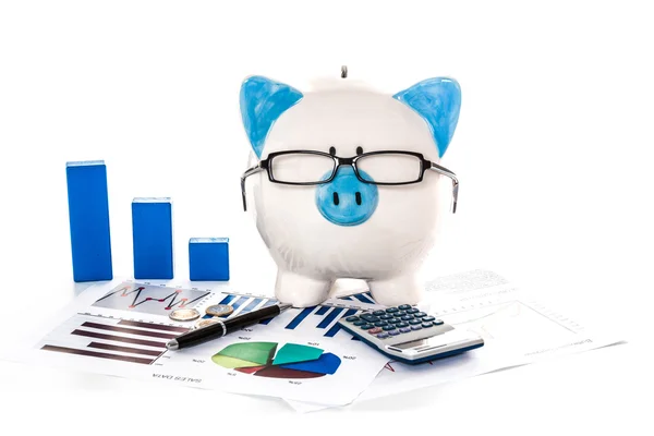 Piggy bank wearing glasses with accountancy paperwork — Stock Photo, Image