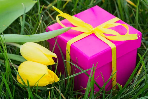 Roze geschenk doos en geel tulpen — Stockfoto