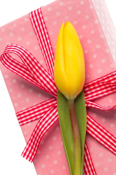 Żółty tulipan spoczywa na prezent — Zdjęcie stockowe