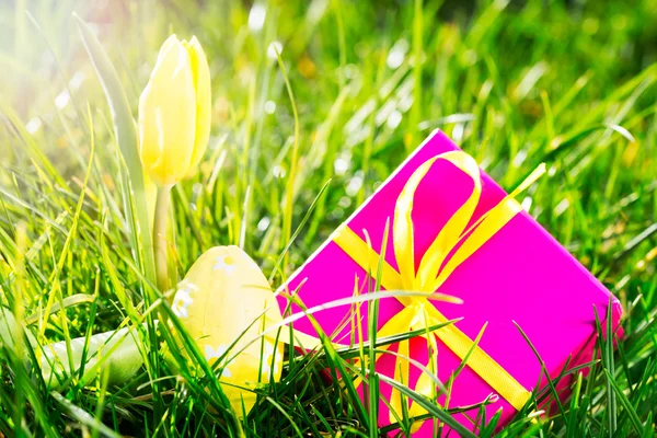 Pink gift with easter egg and yellow tulip — Stock Photo, Image