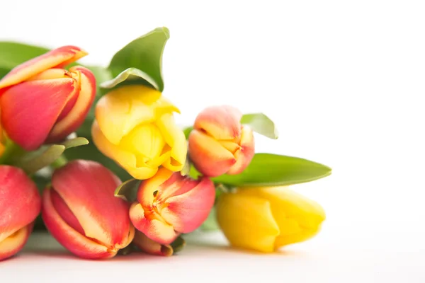 Close up of a beautiful bouquet of tulips on a white background — Stock Photo, Image