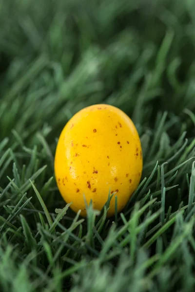 Huevo de Pascua amarillo pequeño — Foto de Stock