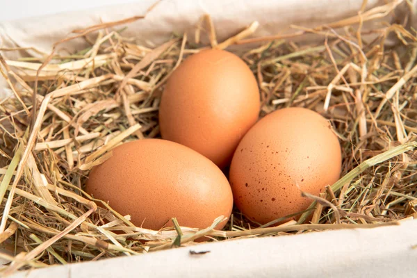 Trzy jaja w biały kosz — Zdjęcie stockowe