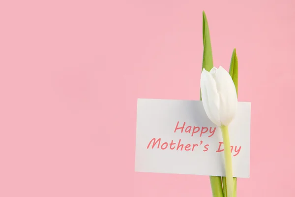 Tulipano bianco con un biglietto di giorno di madri felici su uno sfondo rosa — Foto Stock