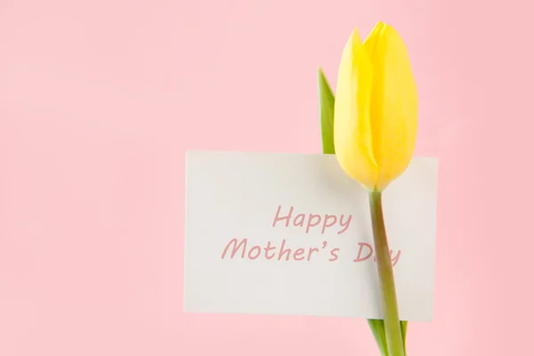Mooie gele tulp met een gelukkig moeders dag kaart — Stockfoto