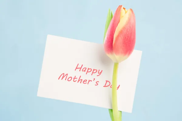 A beautiful tulip with a happy mothers day card — Stock Photo, Image