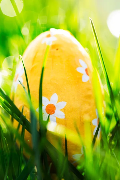 Huevo de Pascua enclavado en la hierba verde — Foto de Stock