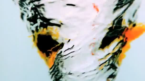 Hidromassagem de água close-up com tinta laranja — Vídeo de Stock