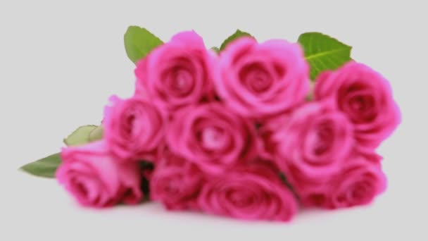 Focus sur les roses roses en cadeau — Video