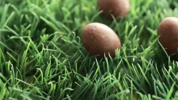 Three chocolate easter eggs — Stock Video