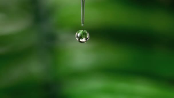Droppe vatten faller mot grön naturliga bakgrund — Stockvideo