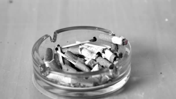 Cigarette tombant dans le cendrier — Video