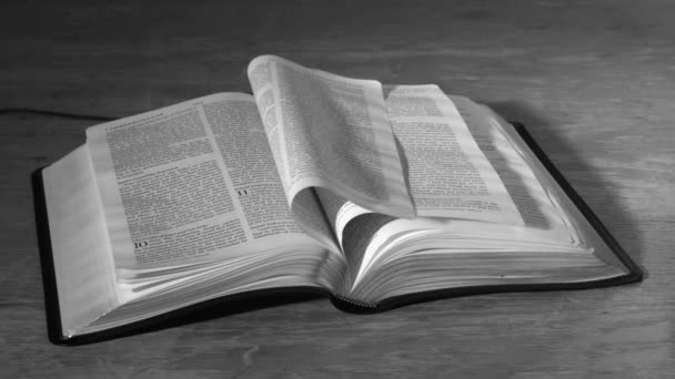 Bibeln sidor vända i vinden i svart och vitt — Stockvideo