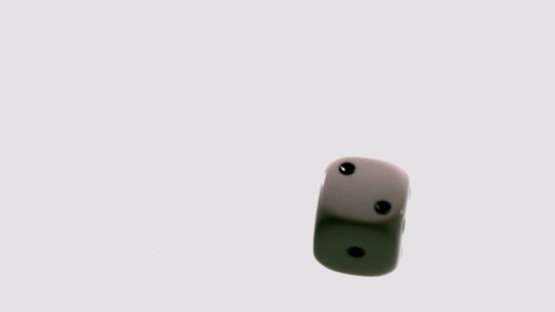 White dice falling and bouncing — Stock Video