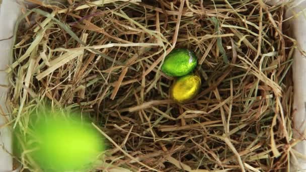 Ovos de Páscoa embalados caindo na palha — Vídeo de Stock