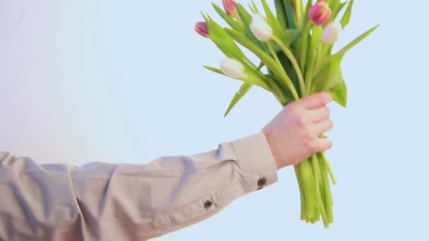 Mann stellt Tulpen in Vase — Stockvideo