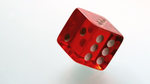 Red dice spinning and settling on white surface — Stock Video