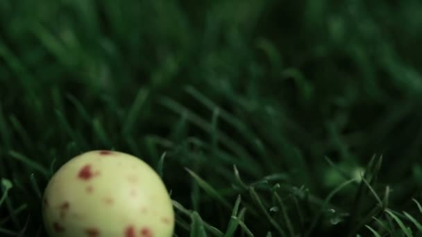 Пасхальні яйця падають у траву — стокове відео